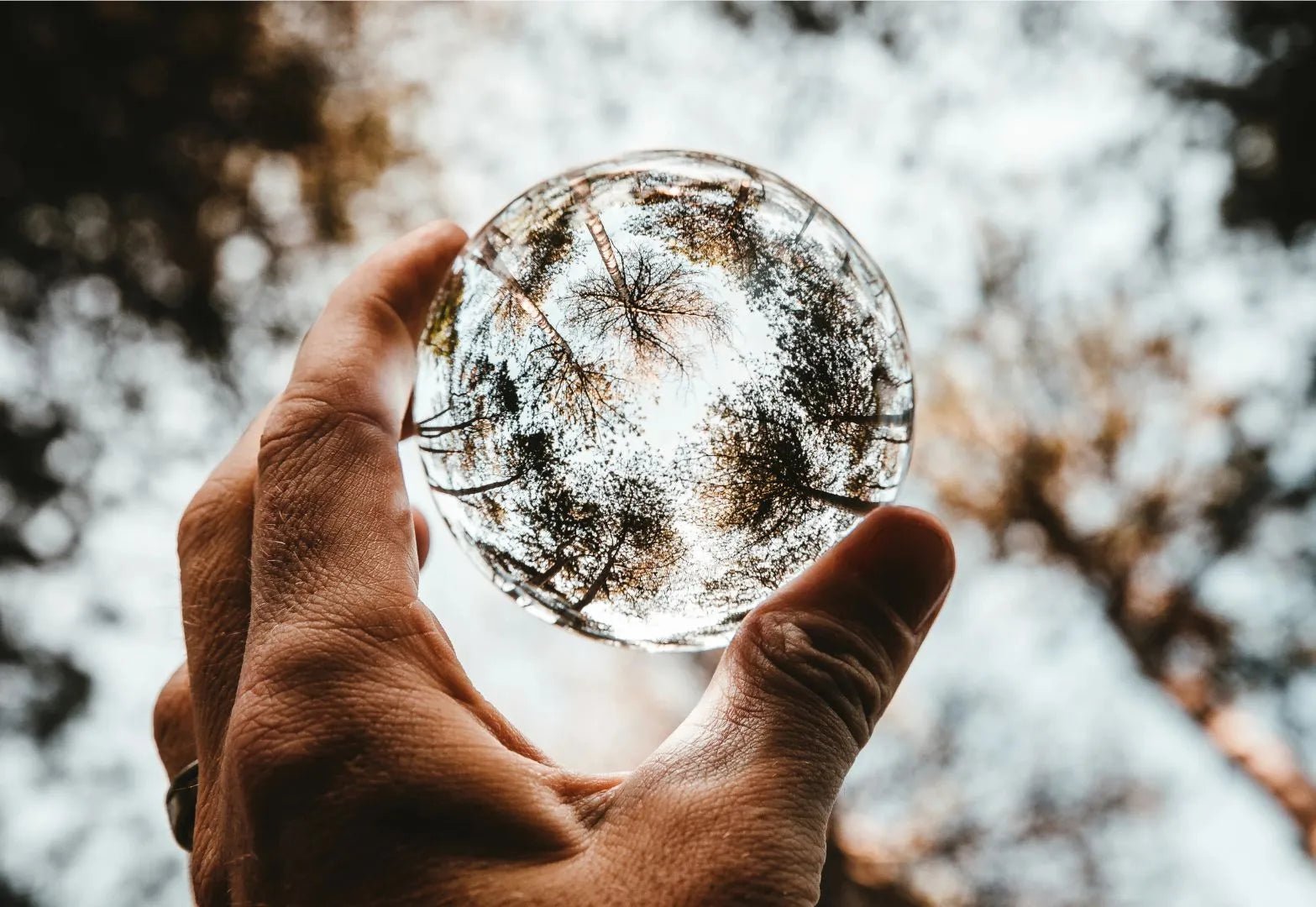 A close-up of a hand holding a clear glass sphere, which reflects and inverts the image of tall trees and the sky above, creating a circular, fisheye-like view of the forest canopy.