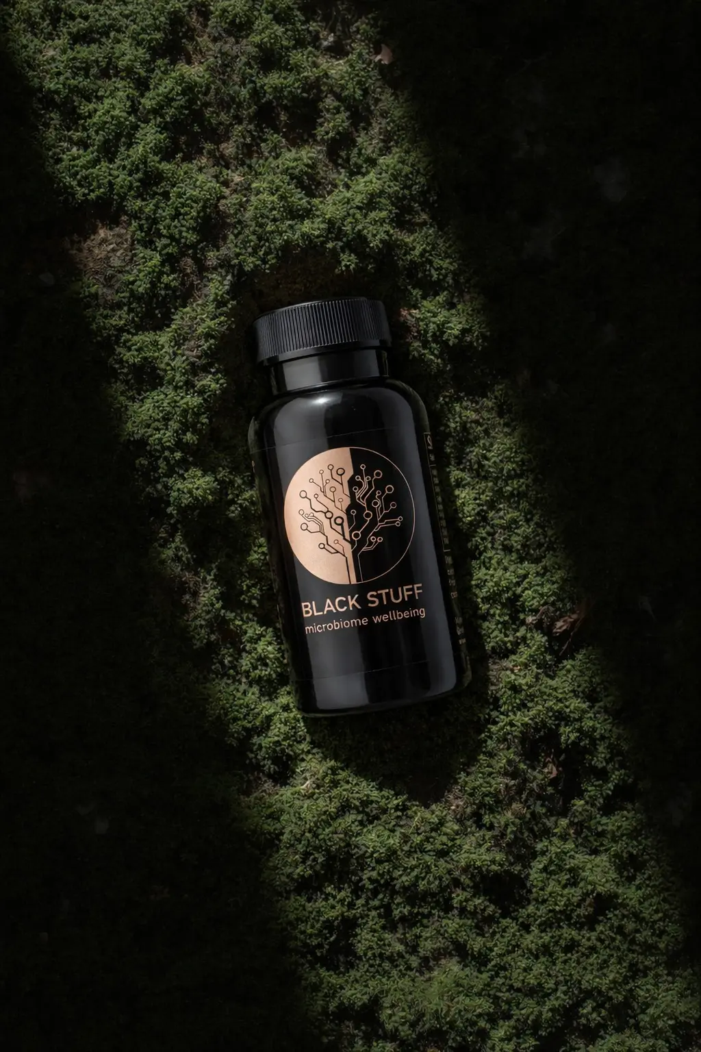 Black Stuff, rooted in Baltic forest