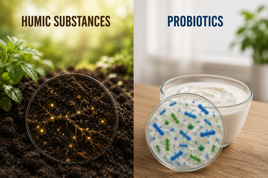 Humic Substances vs Probiotics for Gut Health