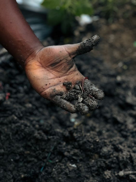 Humic Acid Capsules Benefits That Matter