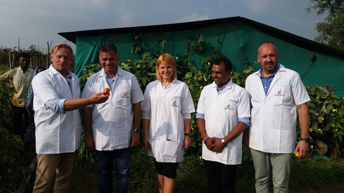 When the Body Forgot the Earth: The Story Behind Black Stuff