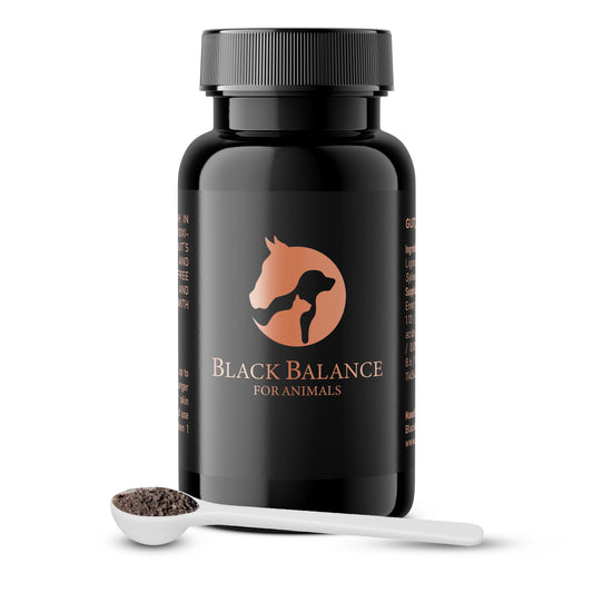 A black plastic bottle labeled "Black Balance for Animals" featuring a copper-colored circular logo with silhouettes of a horse, dog, and cat. In front of the bottle is a white measuring spoon filled with a dark granular powder.