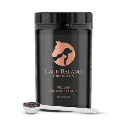 A container of BLACK BALANCE FOR ANIMALS PRO LINE with a scoop in front, indicating the product is a powder for animals' gut and skin health.