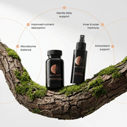 INSIDE & OUTSIDE REPAIR DUO (BLACK STUFF + SPRAY)