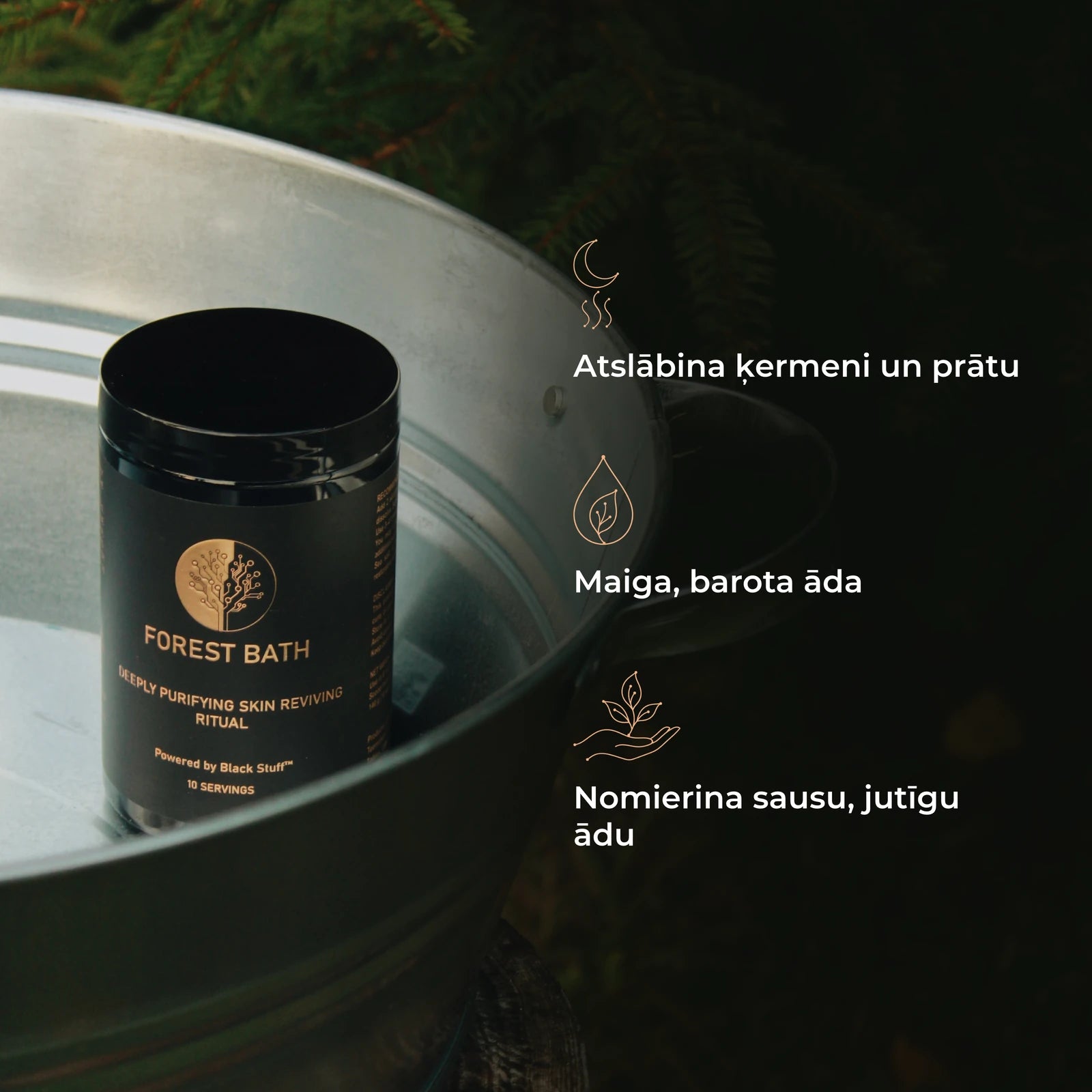Forest Bath